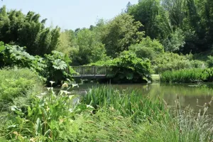 Vacances d'avril : visitez les serres tropicales et le jardin botanique