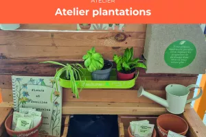 Atelier plantations