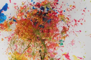 Atelier Peinture + Land art (créations à base de matériaux végétaux)