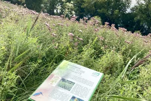 Ça bouge dans le marais !