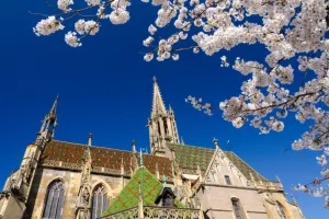 Concert : Feu sacré