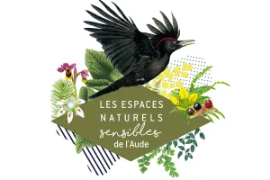 ENS - OISEAUX DES ZONES HUMIDES