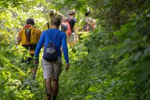 Balade forestière à Anost
