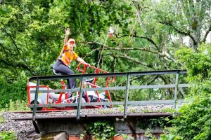 Vélorail de printemps