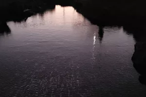 Exposition - Une Part de la Nuit