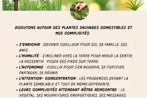 Conférence : Plantes sauvages et comestibles