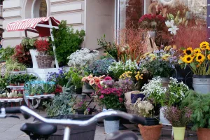 Marché Artisanal et aux plantes
