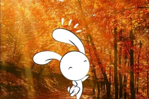 Animation nature en famille : Enquête de Gribouille