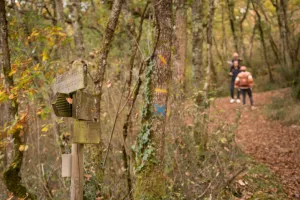 Randonnée semi-nocturne "La Togolaise"