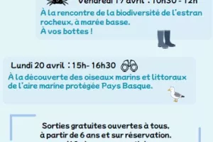 Sortie nature avec le Centre de la Mer