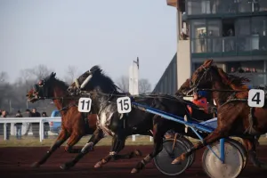Courses hippiques de Trot