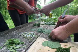 Un baume de soin fait en pleine nature