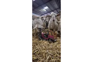 COMPLET - Randonnée gourmande en quadricycle électrique avec E-Pottok et découverte de la Ferme Ametzalde