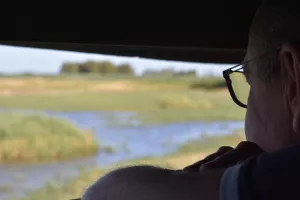 Samedi ornitho à Terres d'Oiseaux