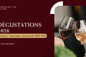 Programme de dégustation | Cave Terroir dit Vin