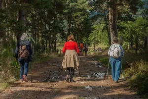 Sortie avec le Club Vosgien du Kochersberg : Allerheiligen, Forêt-Noire