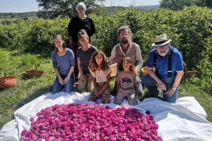 CUEILLETTE DES ROSES