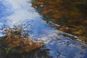 Stage de pastel avec Sylvie POIRSON