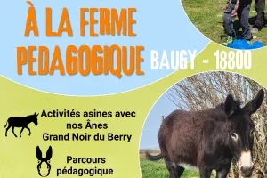 Mini Balade avec les Ânes