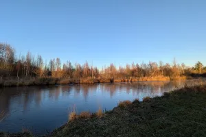 Sortie nature à Liesse-Notre-Dame : "Monde de la nuit"