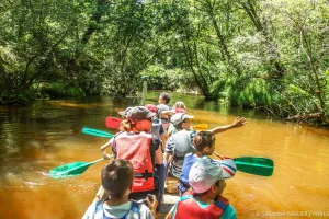 Balade contée en canoë collectif