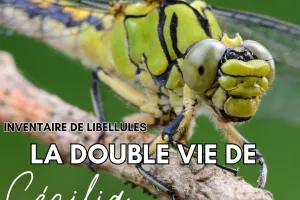 La double vie de Cécilia : découverte et inventaire des libellules