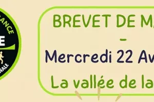 Marche inaugurale A.I.M.E.