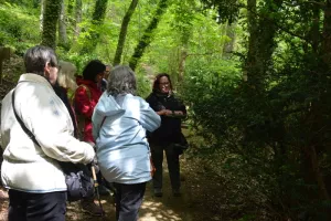 Merveilles de la Nature au bord de la Bièvre (balade découverte)