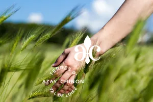 Escapade Nature et Géants