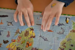 Jeux et puzzles participatifs