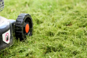 Atelier : Mieux (et moins) tondre pour le bonheur de son jardin