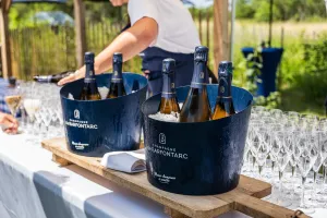 Soirée bleue au coeur du vignoble