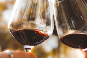 APERITIF VIGNERON AU DOMAINE VILLECLARE