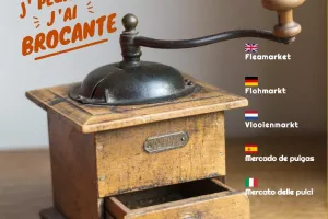 BROCANTE DE LA GAULE LÉDONIENNE - LONS LE SAUNIER