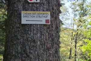 Sentiers Plaisir : Le chemin des déportés
