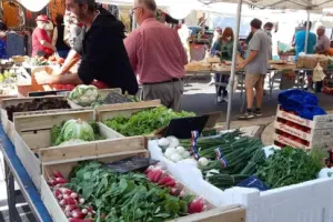 Foire Mensuelle à Réquista