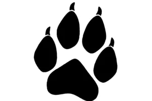 Vide-greniers de l'association "Pattes de Loup"