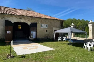 Conférence sur "l'adaptation des forêts au déreglement climatique" avec une sortie en forêt - Châteaux en fête