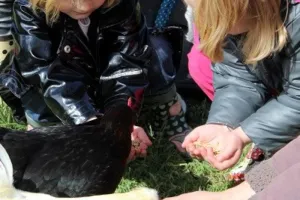 Aujourd'hui c'est toi le fermier !