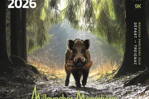 Trail Millevaches Monédières