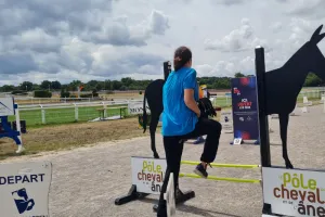 Rendez-vous hobby horsing