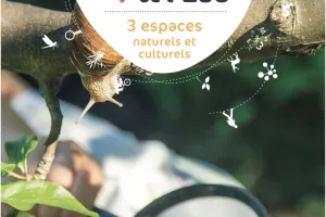 Exposition Isabelle Moreau