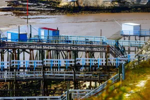 Visite de l'estuaire de la Gironde