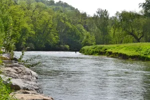 NATURO'LAC AU BORD DE L'HERS