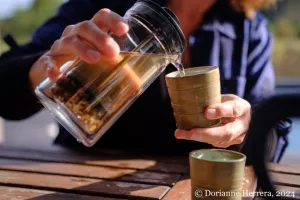 ATELIER HERBORISTE : FABRIQUER VOTRE PROPRE TISANE