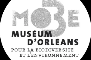 Le chocolat en débat