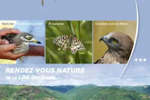 Les oiseaux de ferme en ferme - LPO
