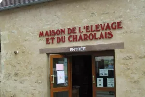 Visite couplée du Musée de l’Elevage et du Charolais et du Marché au Cadran