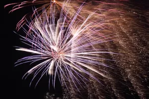 Fête nationale à Bonny-sur-Loire : défilé, retraite aux flambeaux, bal et feu d'artifice