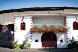 Visite commentée de la Monumental des Pins